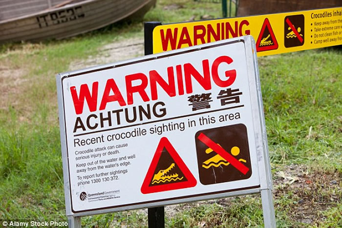 澳洲女子晚上到海滩游泳遭鳄鱼攻击,被拖入海中下落不明