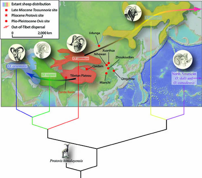 ͼ2  ŷǴ½ֵֺķֲԼϲϵͳϵͼ