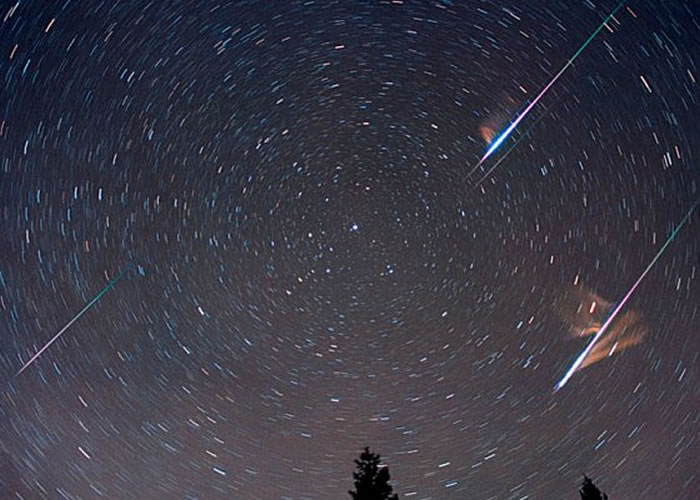 2016��6�·���������ſ�������������������