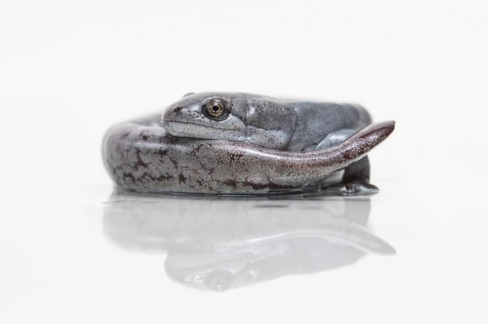 ĸĹȡDNA PHOTOGRAPH BY ZAC HERR