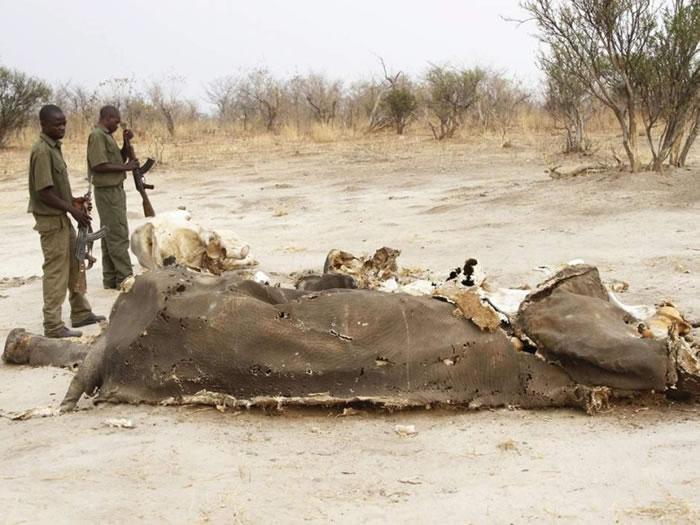 ���ٴ���ɽ����ɱ��