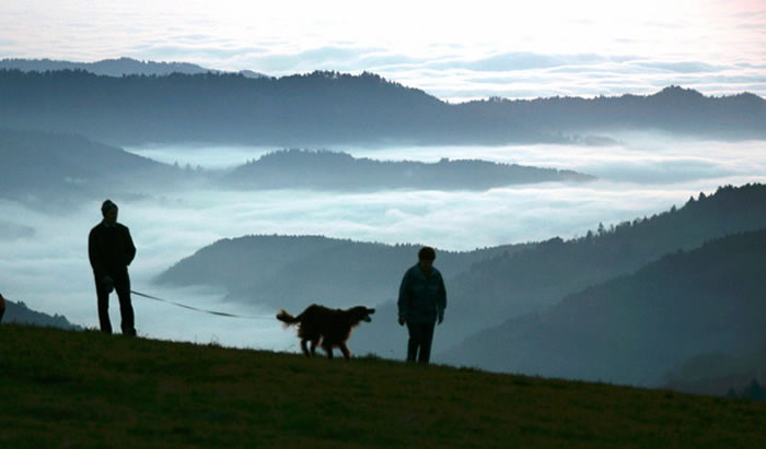 Ӣ��ţ���ѧ���о�ָ���ֱ��������ط�����ѱ������