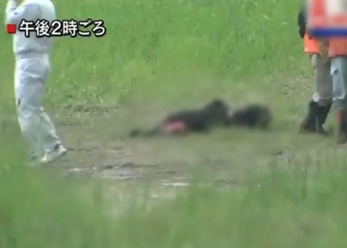 猎人射杀现场附近一头野熊。