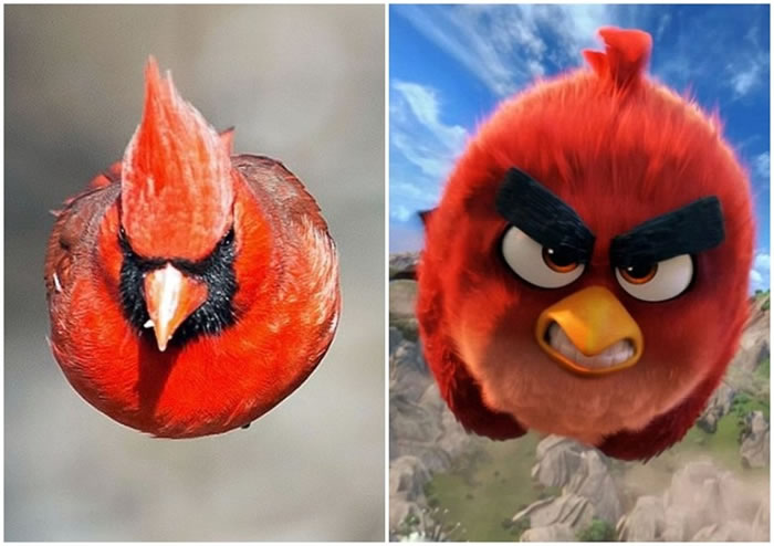 ��˹�����µ�С����ͼ�����ŭ����ͼ���ǳ����ơ�