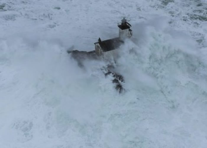 ��ά�ɿ˵����Ʊ�������û��