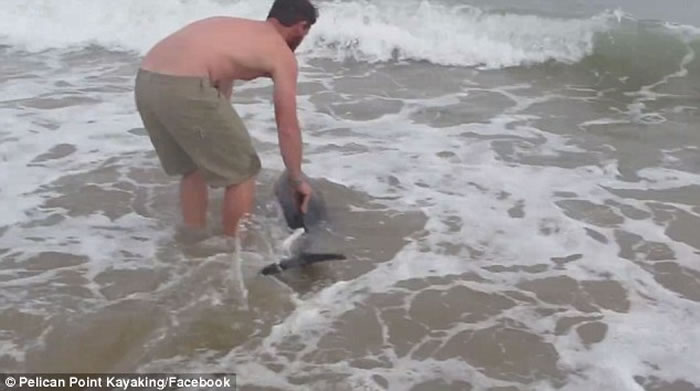 �������ױ�����Ӿ�Ϳ���С�����ǳ��̲���Ԯ�֣�С�����β�Ƹ�л