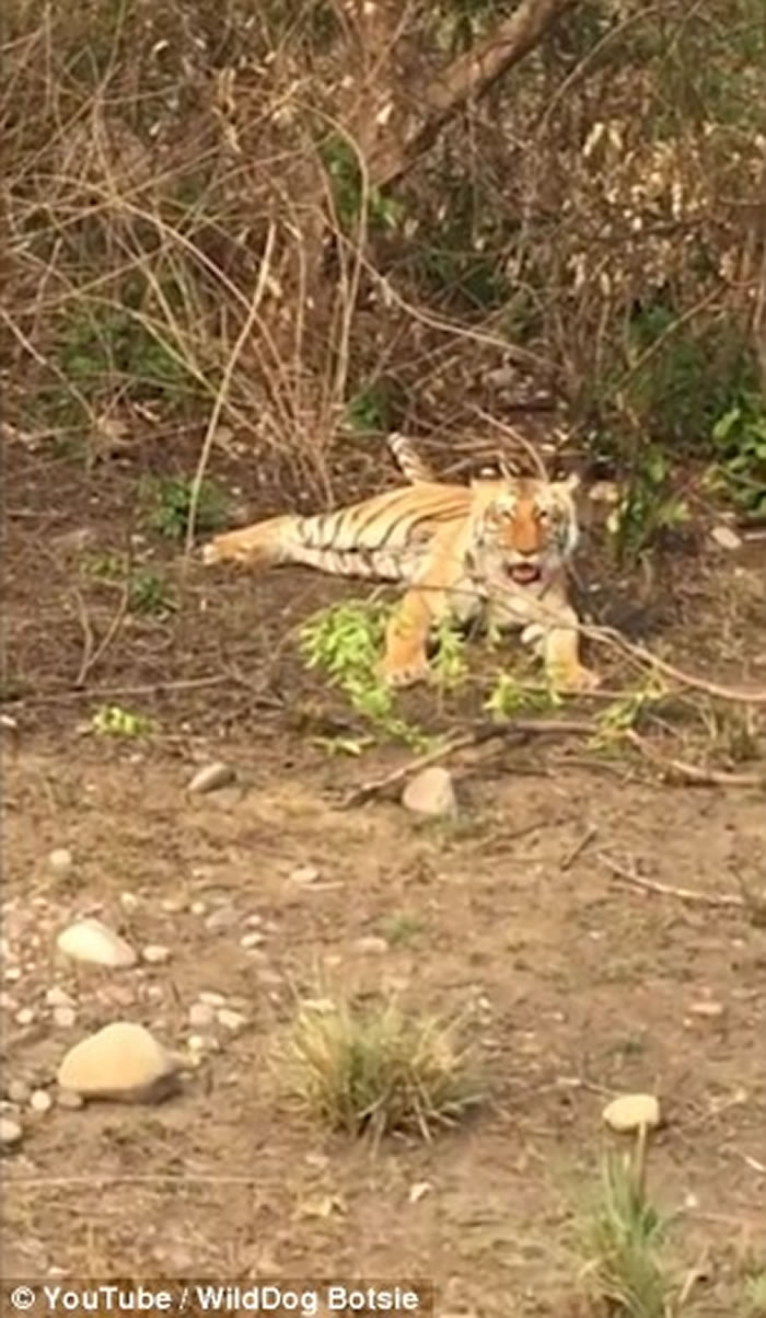 ӡ���ϻ�����׽��ĸ��ʧ�� ��������װ����������