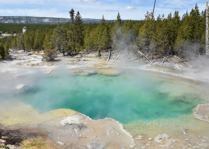 ��ʯ���ҹ�԰���кܶ������Ȫ��