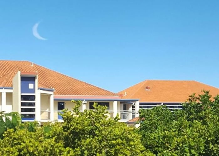 զһ����ü�¸߹���� ϸ��ԭ��ֻ��һƬ��