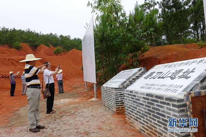 6月13日,来自国内的近20位专家学者前往郁南磨刀石旧石器遗址现场考察。新华网发 许建梅摄