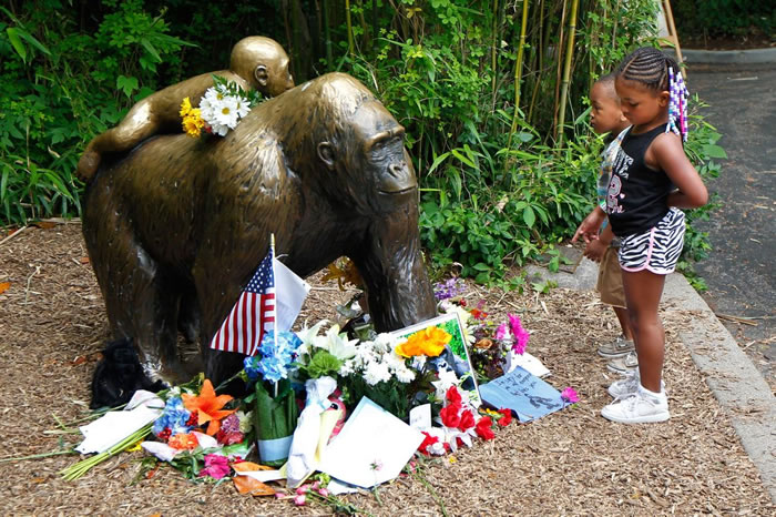 С��ͯ׹�������԰���ڣ����պ�������ɱ��ͼΪ��������󣬺�ͯ�������ǵ̶���԰����ĸ���ɱ���С���ɵĵ����ơ� / PHOTOGRAPH BY JOHN SOMME