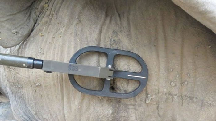 ���޽�Ͳ�Τһͷ����������߿�ǹ����ͷ�� ���Ѳ����漣���