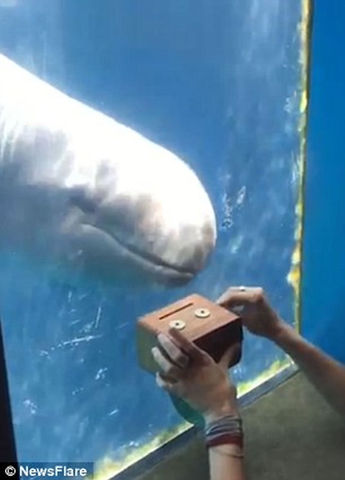 Ůοֺ ô¸绪ˮαŸ