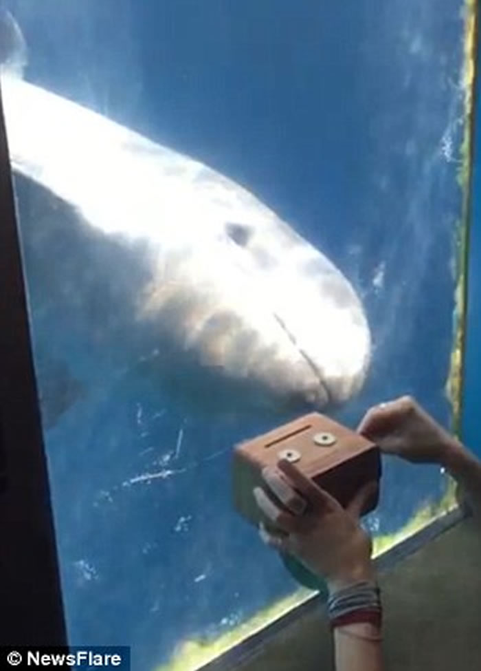 Ůοֺ ô¸绪ˮαŸ