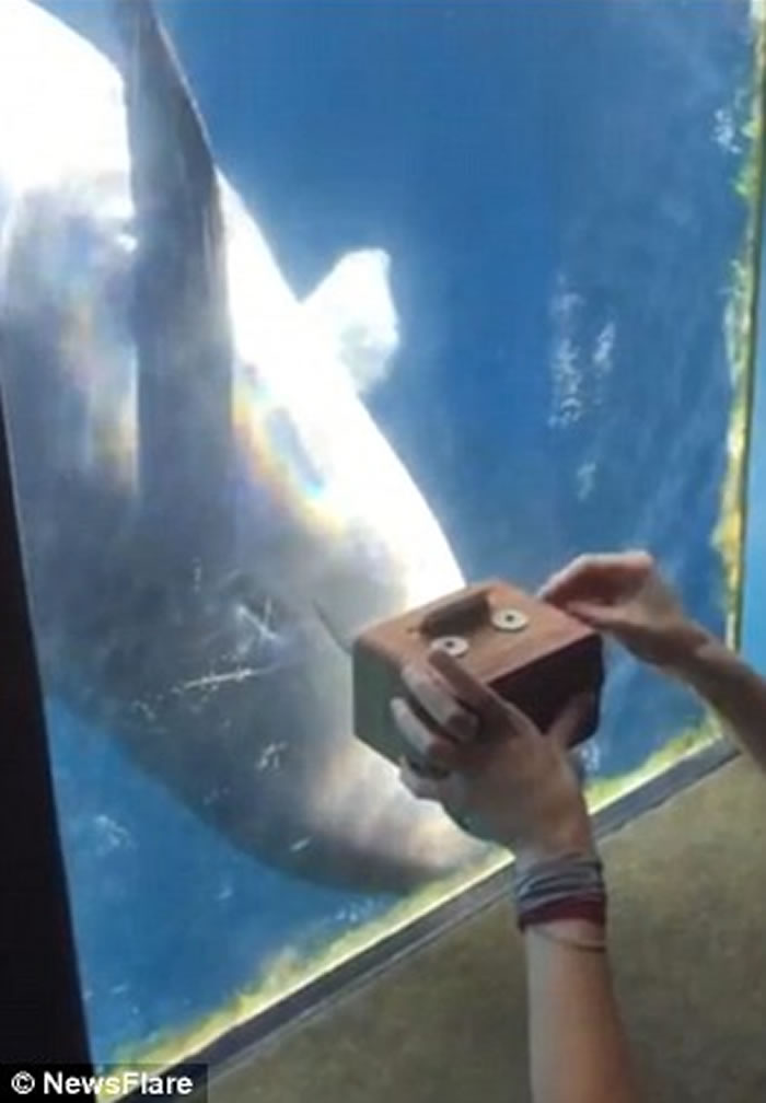 Ůοֺ ô¸绪ˮαŸ