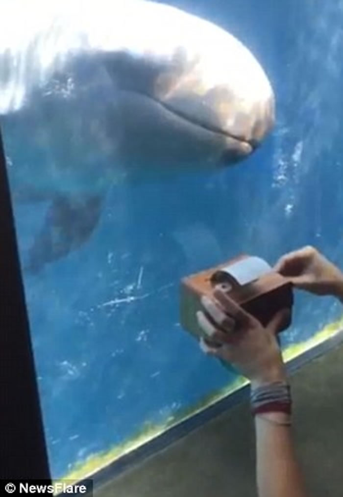 Ůοֺ ô¸绪ˮαŸ