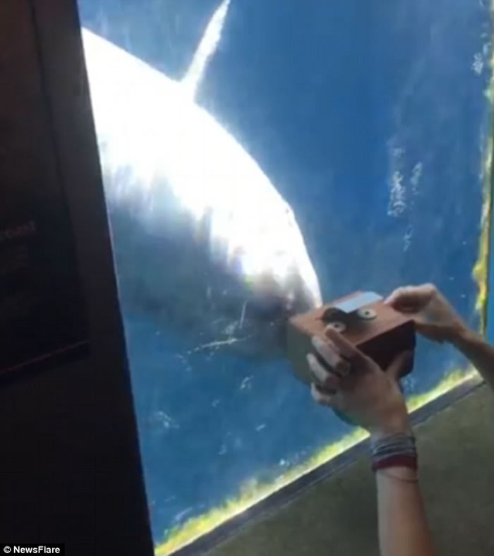 Ůοֺ ô¸绪ˮαŸ