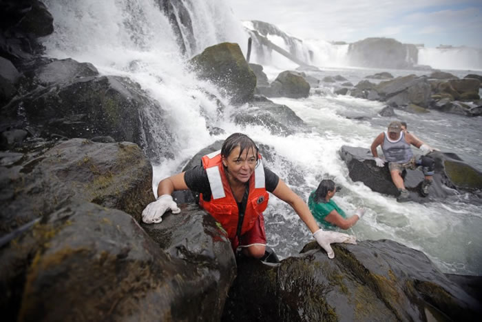 ������ѧ�Ҳ�����ϣ���˽Ⲷ���������