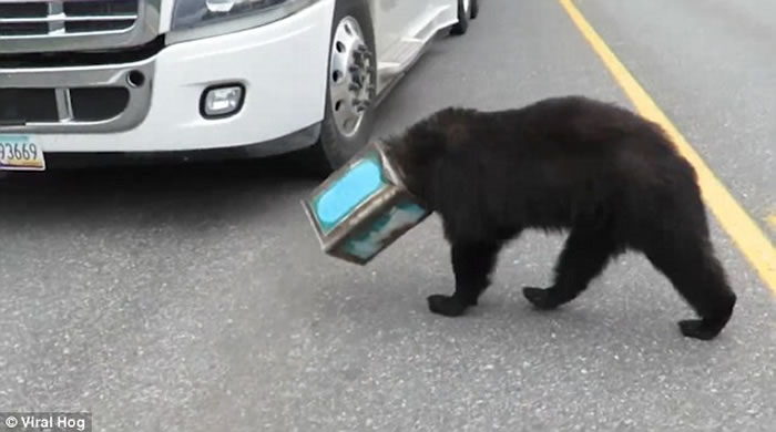 ��������˹����3�����ͷ�������ȹ޿�ס