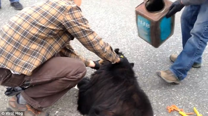 ��������˹����3�����ͷ�������ȹ޿�ס