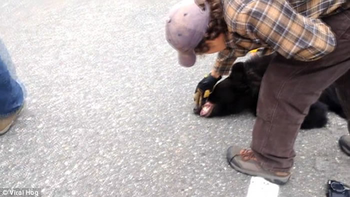 ��������˹����3�����ͷ�������ȹ޿�ס