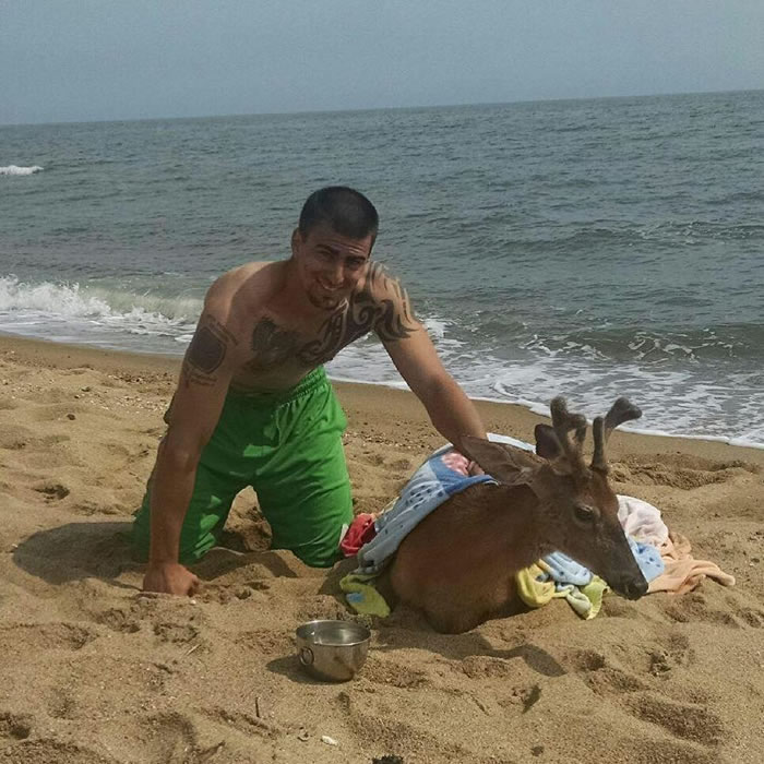 美国男子出海钓鱼钓起一头鹿