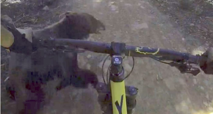 �����������Ӳ�ԽҰ������ײ������������