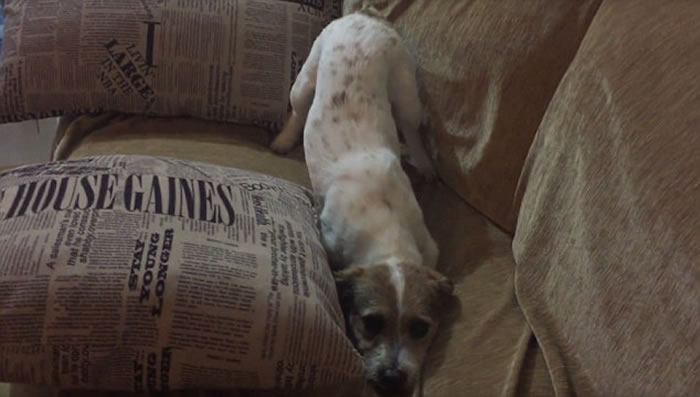 �ܿ����ع������˿���Ƭ �����̫�ֲ������ŵö�����ͷ����