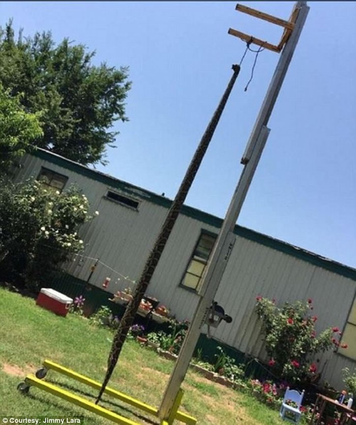 �����������ǰԺ���־޴����� ���׿�ǹ���