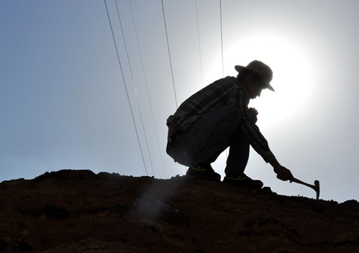 白志君的化石情缘
