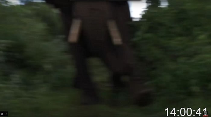 Ӣ�����ﱣ��ѧ��Ian Redmond�ڿ�����������ȺǨ��ʱ�⵽���󹥻���������