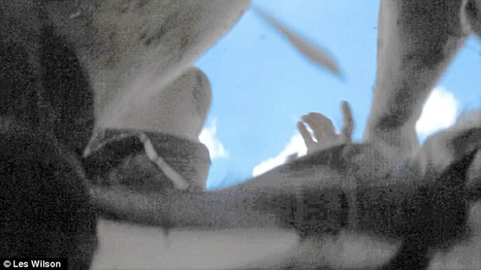 Ӣ�����ﱣ��ѧ��Ian Redmond�ڿ�����������ȺǨ��ʱ�⵽���󹥻���������