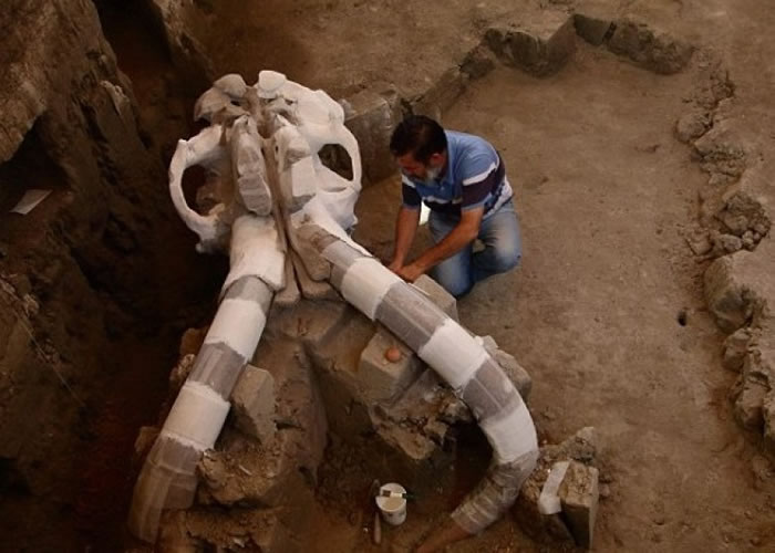 ī�����й��˷���һ�߳�ë�󺡹ǡ�