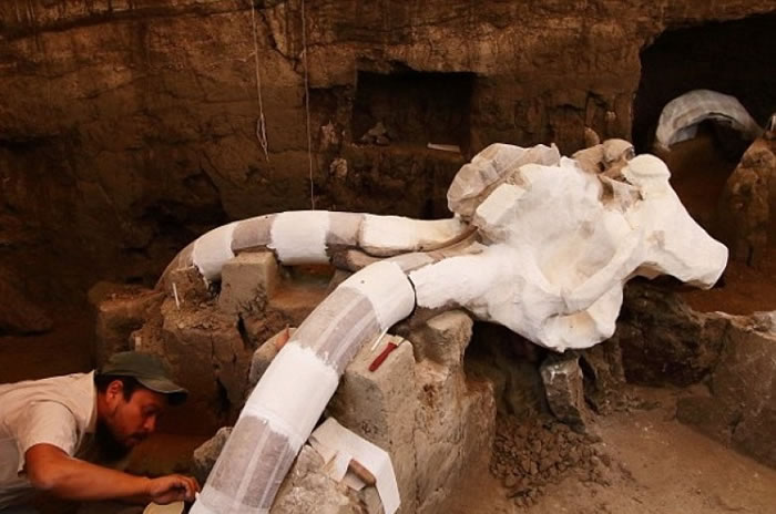 ѧ�����Ÿó�ë�����������ʬȡ�⡣