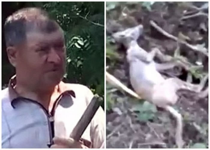 ���ƣ�ͼ�󣩼����ɱ����ɽ����Ѫ�֣�ͼ��Ϊ�������ﱻɱʱ��״����