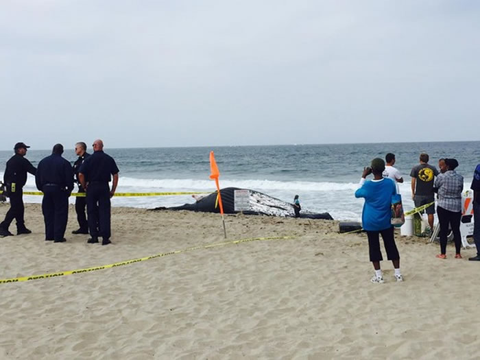 ��������22����ͷ����ʬɳ̲Ʈ���� ����ǰ�����������ƽ���