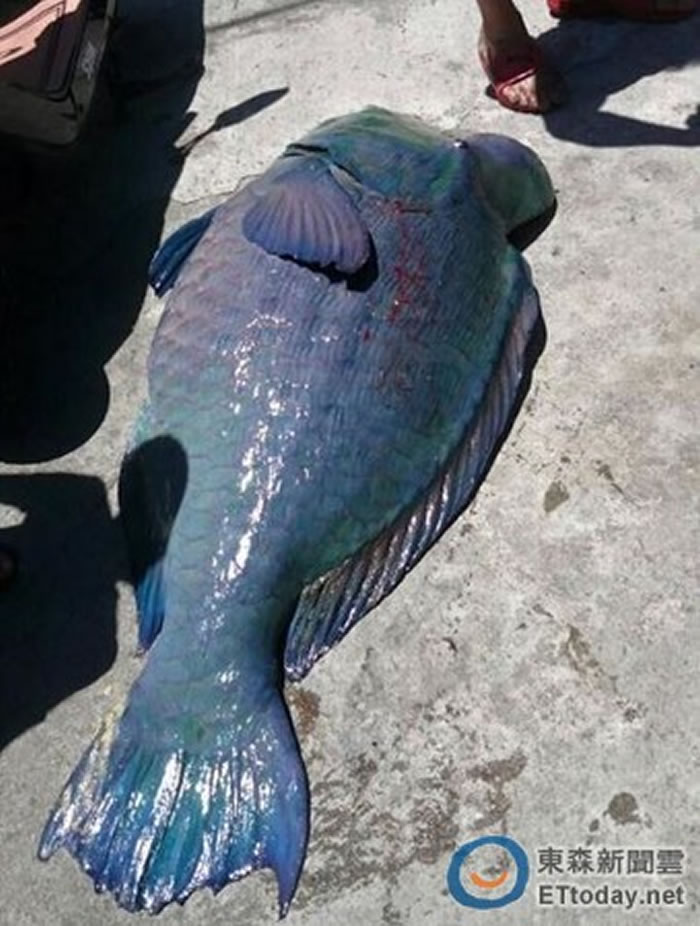 ���캣��2�ճ���һβ¡ͷ�и����ظ��س������˴��ϰ�����Ȼ��������ͼ������.��������Ȩ�ṩ����ͬ��