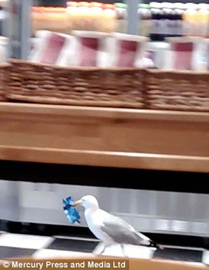 Ӣ��������Ÿ�������͵��ʳ ��Ȼ���������Զ���