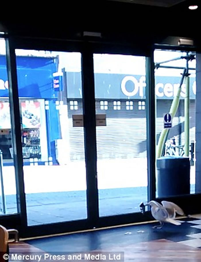 Ӣ��������Ÿ�������͵��ʳ ��Ȼ���������Զ���