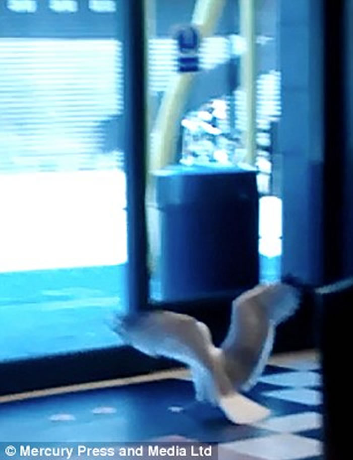 Ӣ��������Ÿ�������͵��ʳ ��Ȼ���������Զ���