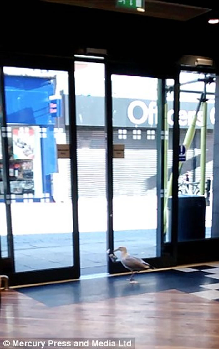 Ӣ��������Ÿ�������͵��ʳ ��Ȼ���������Զ���