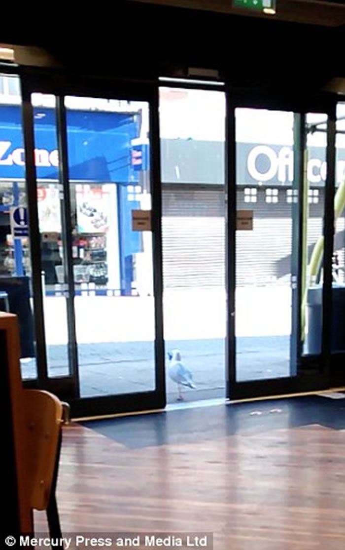 Ӣ��������Ÿ�������͵��ʳ ��Ȼ���������Զ���