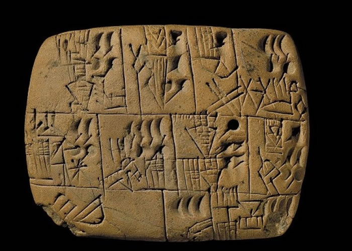 ��������ʾ�˹���Ӧ��ȡ��ơ�Ƴ��͡�