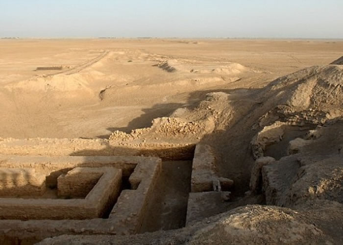 �����������˶��ϲ��ų���³�˱����֡�