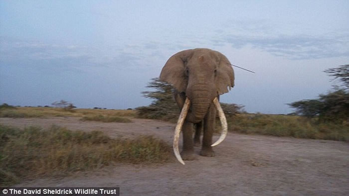 ���޿�����47������ͷ�峤ì��ʹ����������Ӫ�����