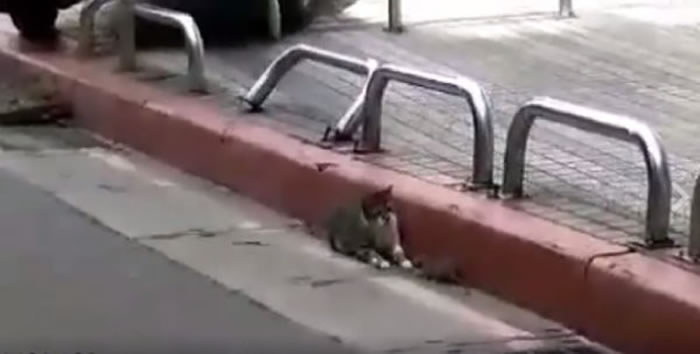 è�俴������һ���ŵ�̧��ͷ��