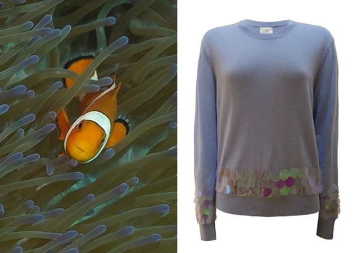 羊毛衣料所释出的微纤维易被海洋生物误服,影响海洋生态。