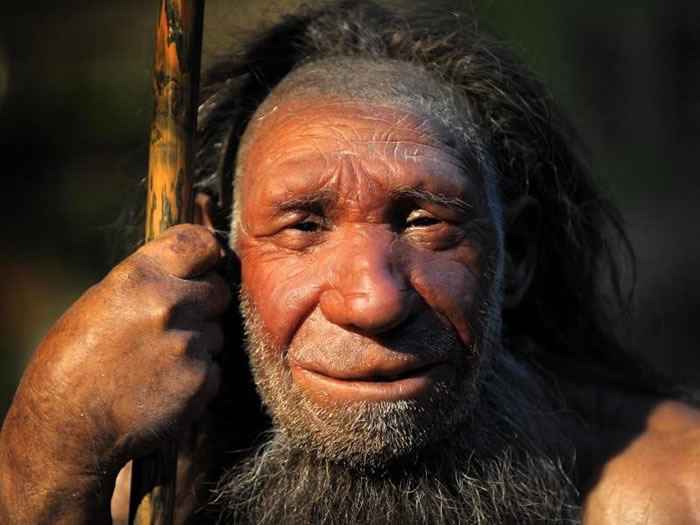 比利时发现的化石表明4万多年前穴居人是“食人族”