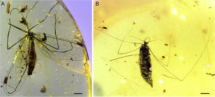 ֩���ս��ߣ�1����ǰ��������еĻ�ʯ��ʾ�����׳�������������