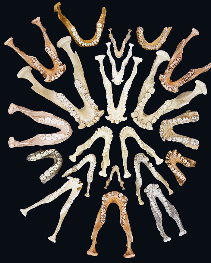 ִľӺǵƴͼ(Photo by Leslea. Hlusko صĵuux.cnͼ)